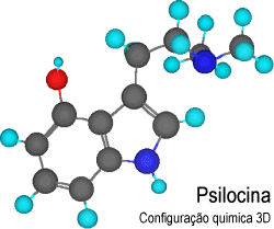 Configurao quimica 3D da Psilocina