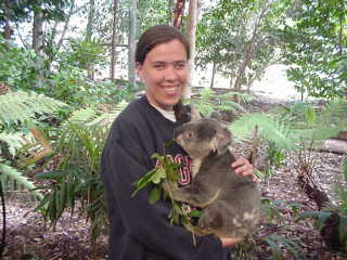 Hanging out with Bracken the Koala