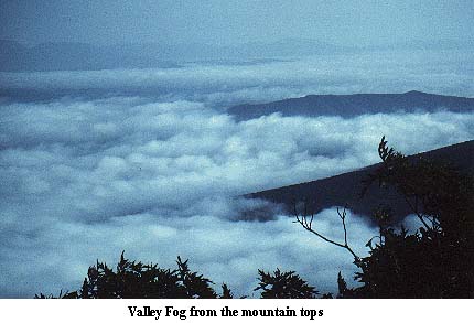 Morning fog in the valley