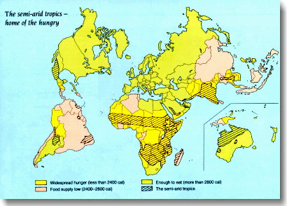 farm1p1.gif (61192 bytes)