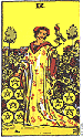 Nine of Pentacles