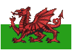 Welsh Flag