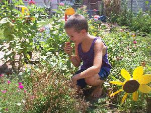 Boy in Flowers