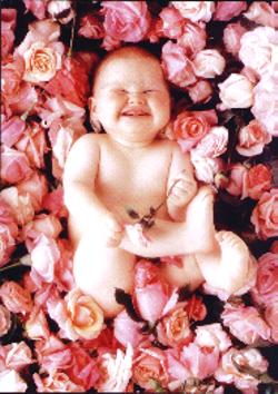 Baby in rose