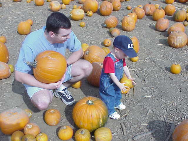 Pumpkin Picking with Daddy