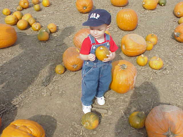 Pumpkin Picking