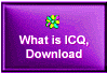 What Is ICQ?