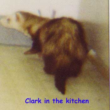 Clark