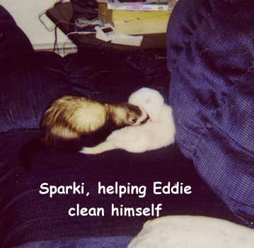 Sparki and Eddie