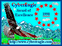 CyberEagles Award of Excellence