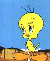 Tweety Bird is our Class Mascot