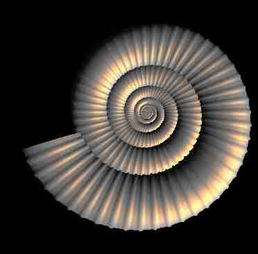 a shell