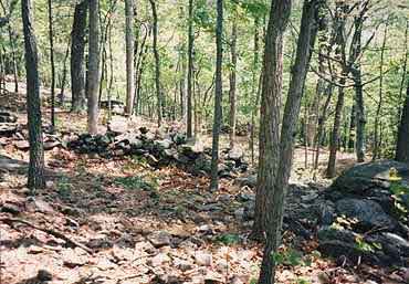 photo of Union's left line on Little Round Top