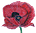 red poppy by DLO