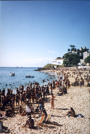 beach.jpg (60513 bytes)