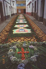 alfombra