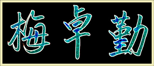 This My Chinese Name