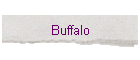 Buffalo