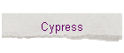 Cypress