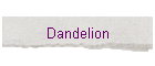 Dandelion