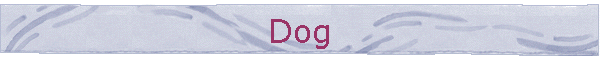 Dog