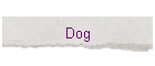 Dog