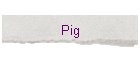 Pig