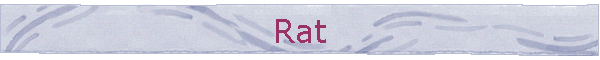 Rat