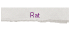 Rat