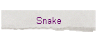 Snake