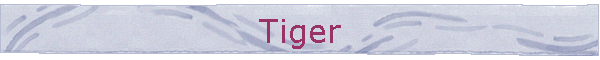 Tiger