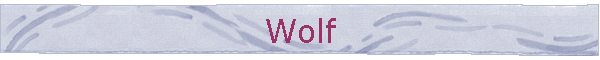 Wolf