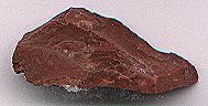 jasper1.jpg (5992 bytes)