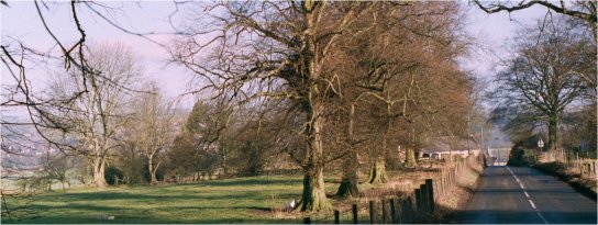 View of Dilston - February 2003