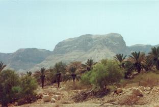 Ein Gedi