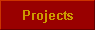  Projects 