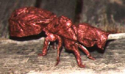 RED ORIGAMI ANT