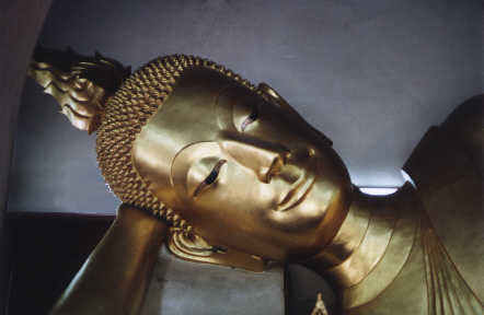 bouddha  couché