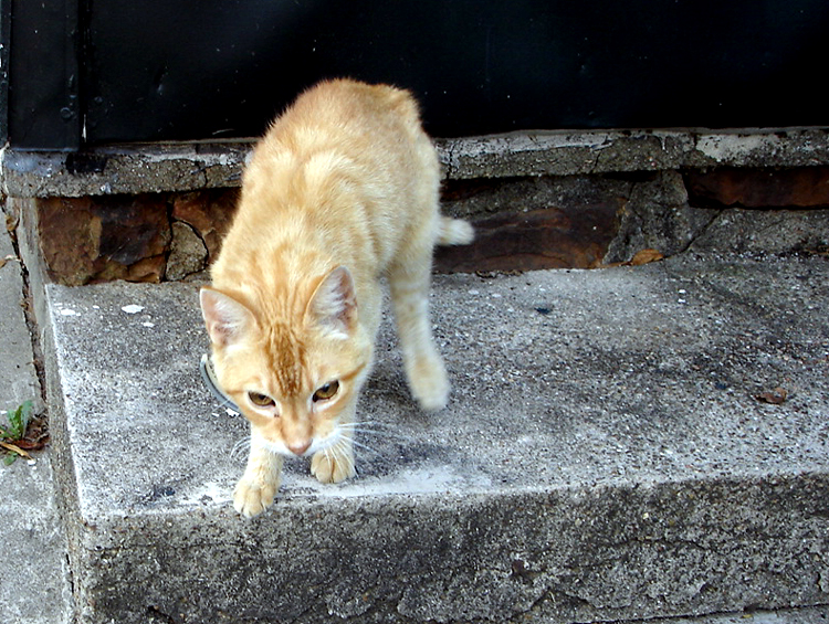 Another of Clyde in 2005