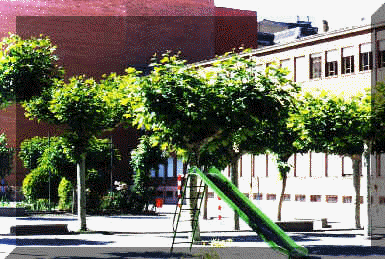 Patio del colegio