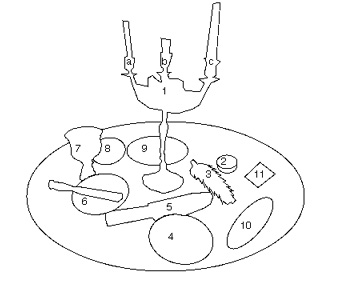 Altar Diagram