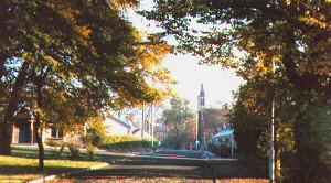 Church Road, Bonkle