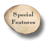 Special Features