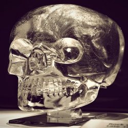 Crystal Skull