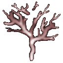 Click to see algebraic trees...