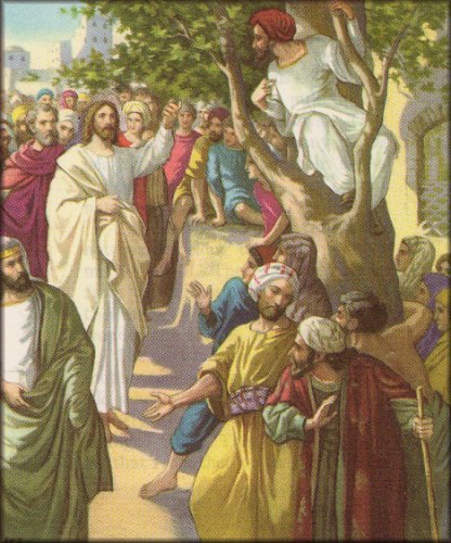 Zacchaeus In The Tree