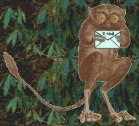 E-mail to The Tarsier