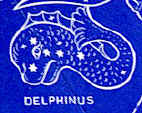 Delphinus