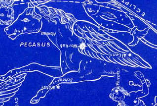 Pegasus