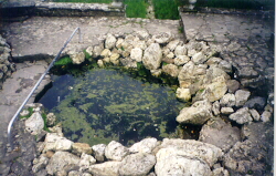 Our Lady's Well 